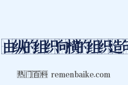 由纵的组织向横的组织造句是什么意思的图片